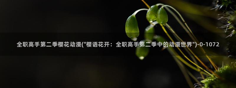 樱花番剧：全职高手第二季樱花动漫(\