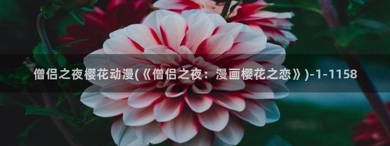 樱花动漫热门动漫有哪些：僧侣之夜樱花动漫(《僧侣之夜：漫画樱花之恋》)