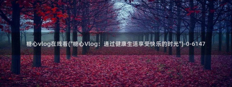  寸止挑战糖心vlog：糖心vlog在线看(\