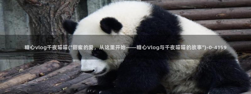 糖心vlog主页