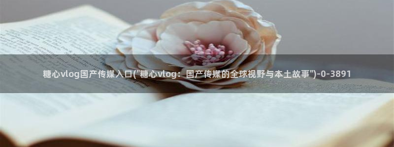 糖心vlog中国