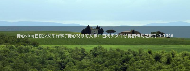 网站糖心vlog