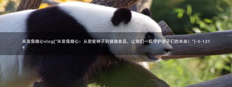 糖心vlog官网免费看