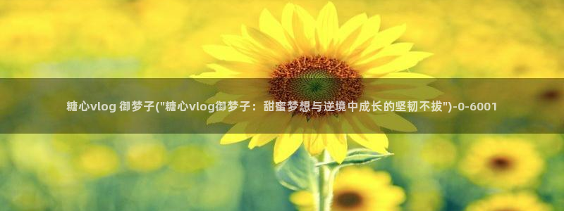 糖心vlog深夜释放自己