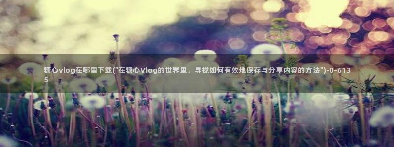糖心 vlog