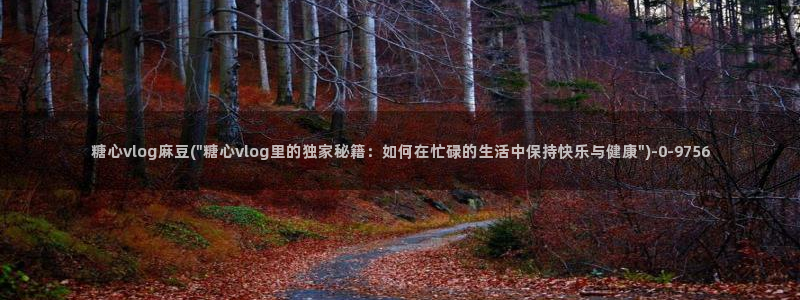 糖心vlog一区二区三区