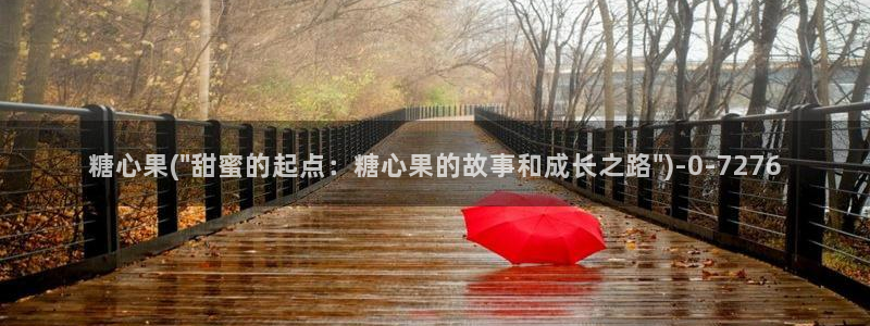 心糖vlog