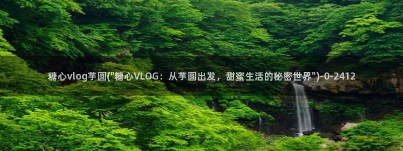 糖心vlog免费版.